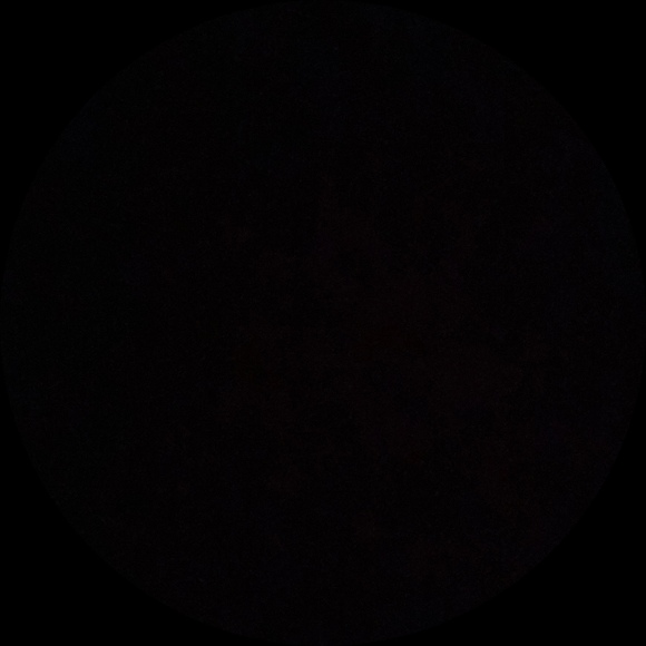 tionseca6065